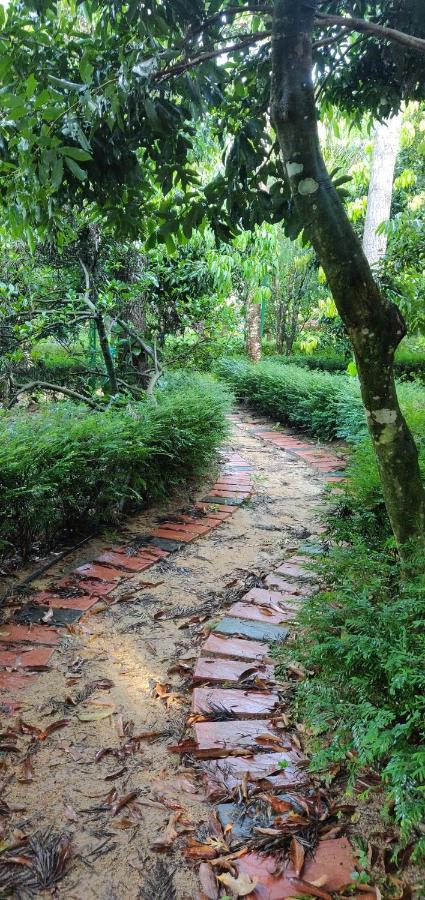 The Vintage Chikmagalur Chikmagalūr Exterior foto
